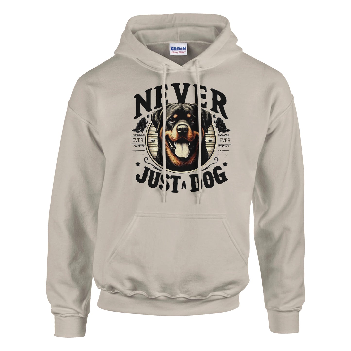 ae080f18-7a28-41e9-89d9-fe2a9e0e50f5