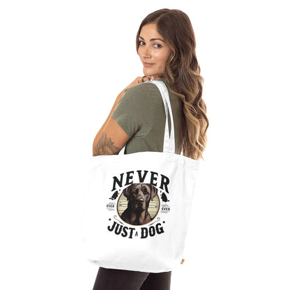 affccc71-23a5-48f8-a59a-272842efcdaa