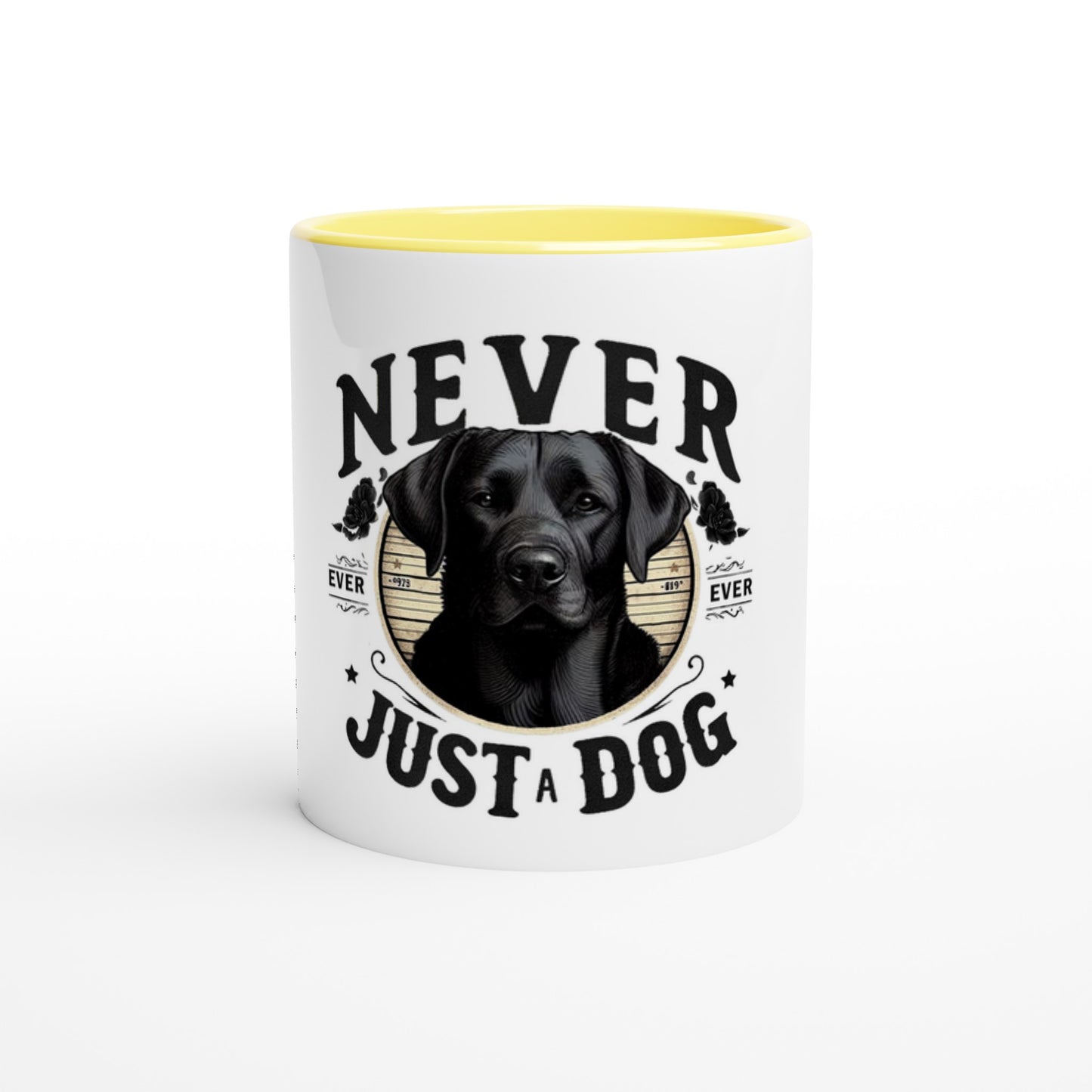 b0bf1efa-2c8b-4f22-96dd-2fca6552b150