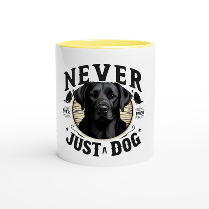 b0bf1efa-2c8b-4f22-96dd-2fca6552b150