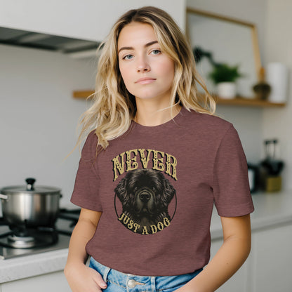 b1f9d0cb-6d05-484c-93bc-8b117ad5d39d