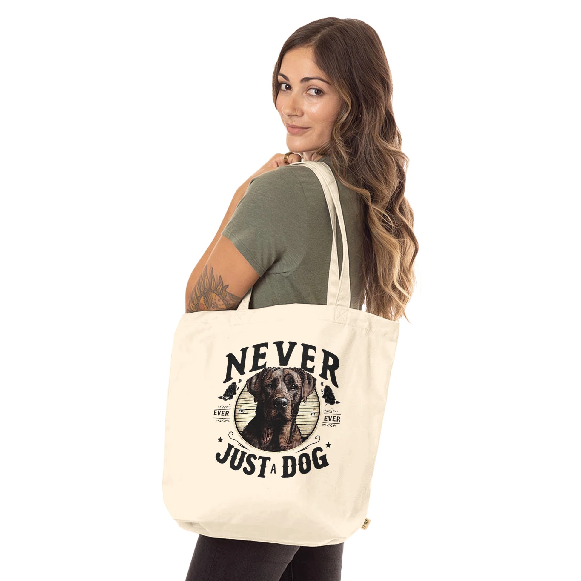 b2c22a36-1938-432c-87ba-cba4904f2ff8