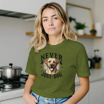 b744b3da-da76-477f-838d-de45f367cd81