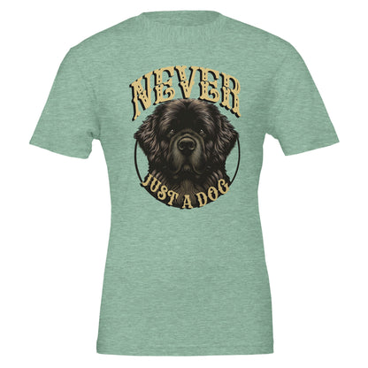 b895ac88-fcbd-42ac-ae36-2aaae3d1c9b7