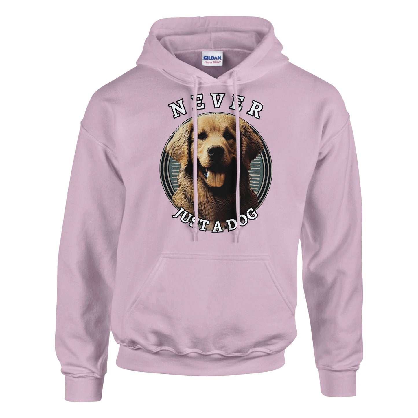 bb4a7209-fa49-4106-adf9-1fd19860988a