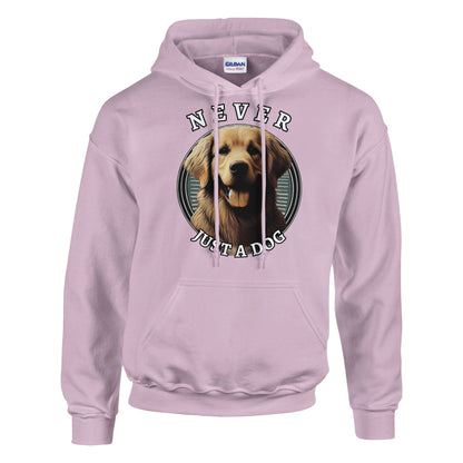 bb4a7209-fa49-4106-adf9-1fd19860988a