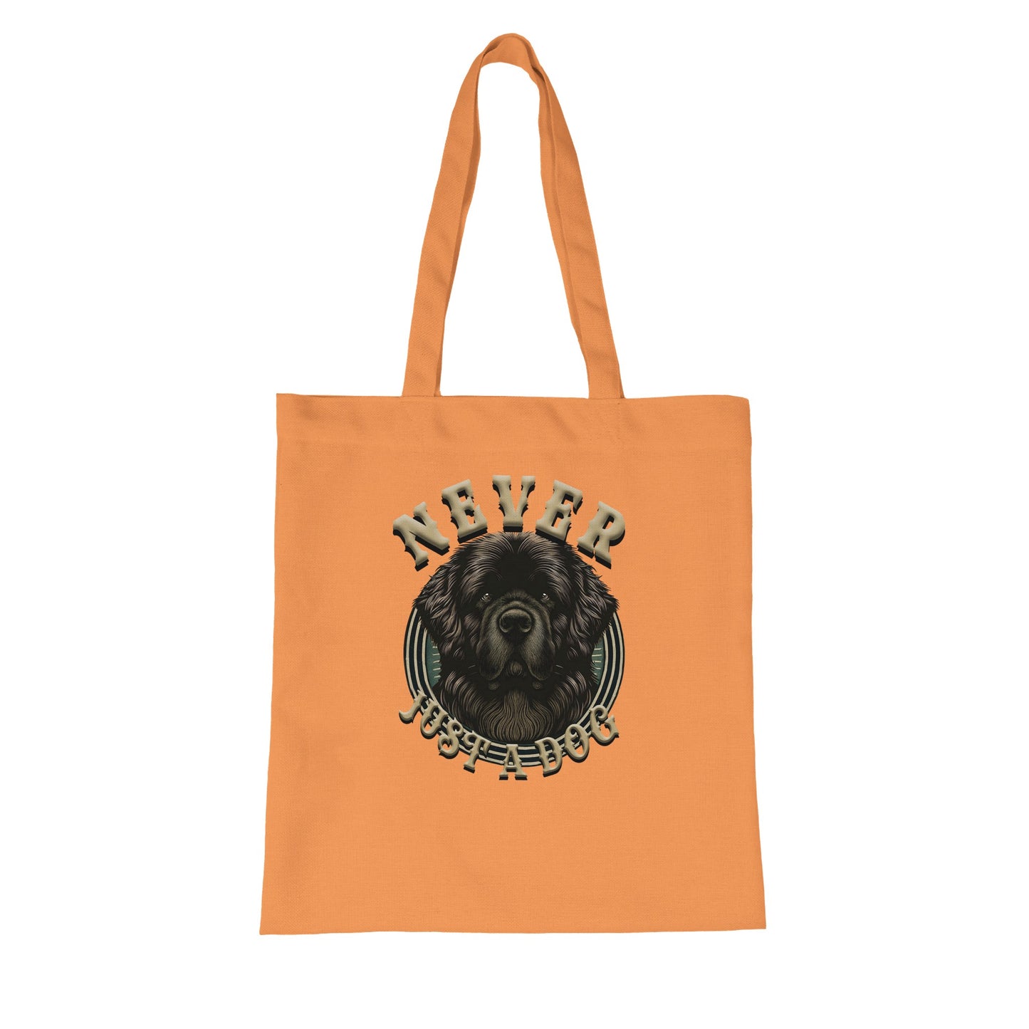 bce8ab7f-a05d-423b-88dc-31012b124e8c