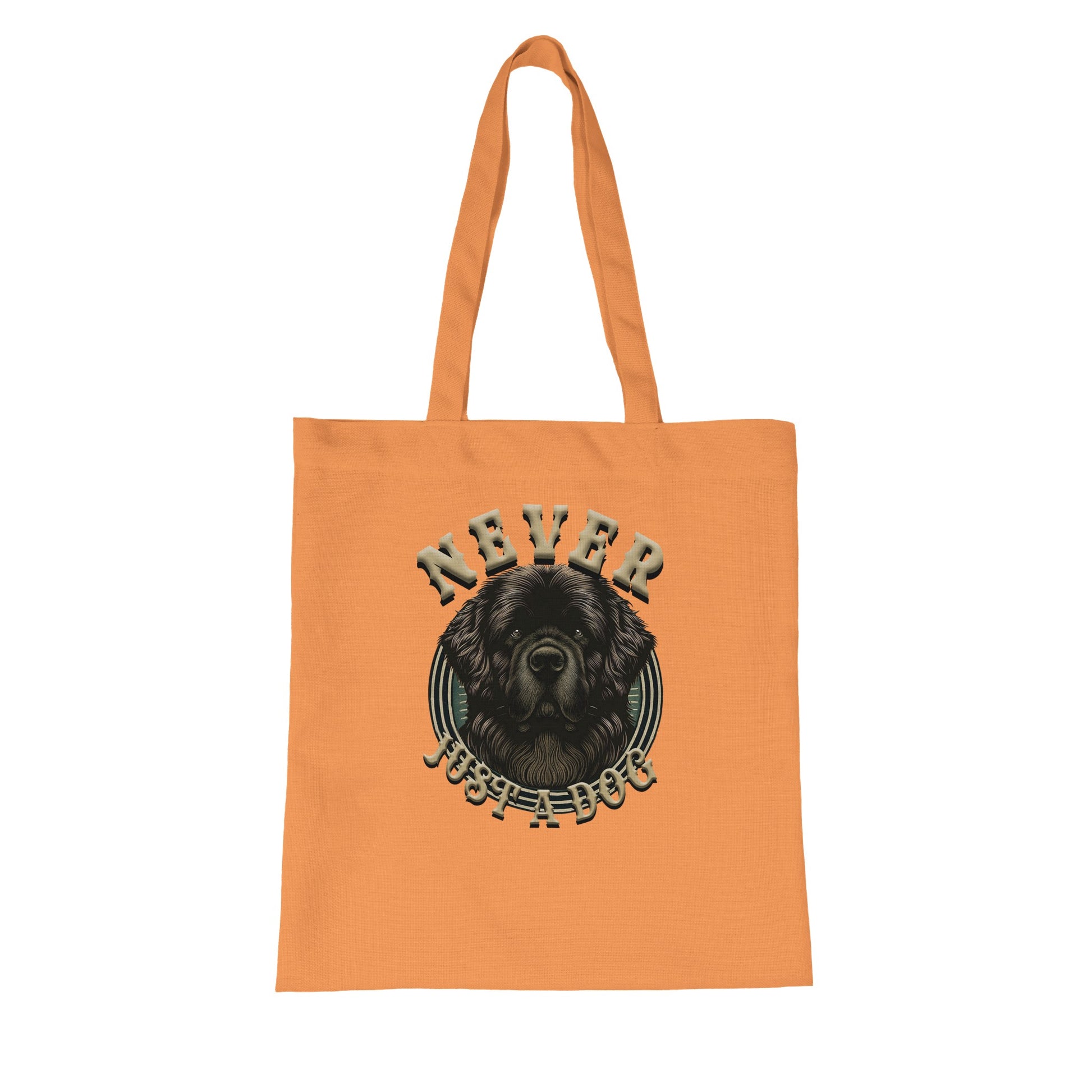 bce8ab7f-a05d-423b-88dc-31012b124e8c