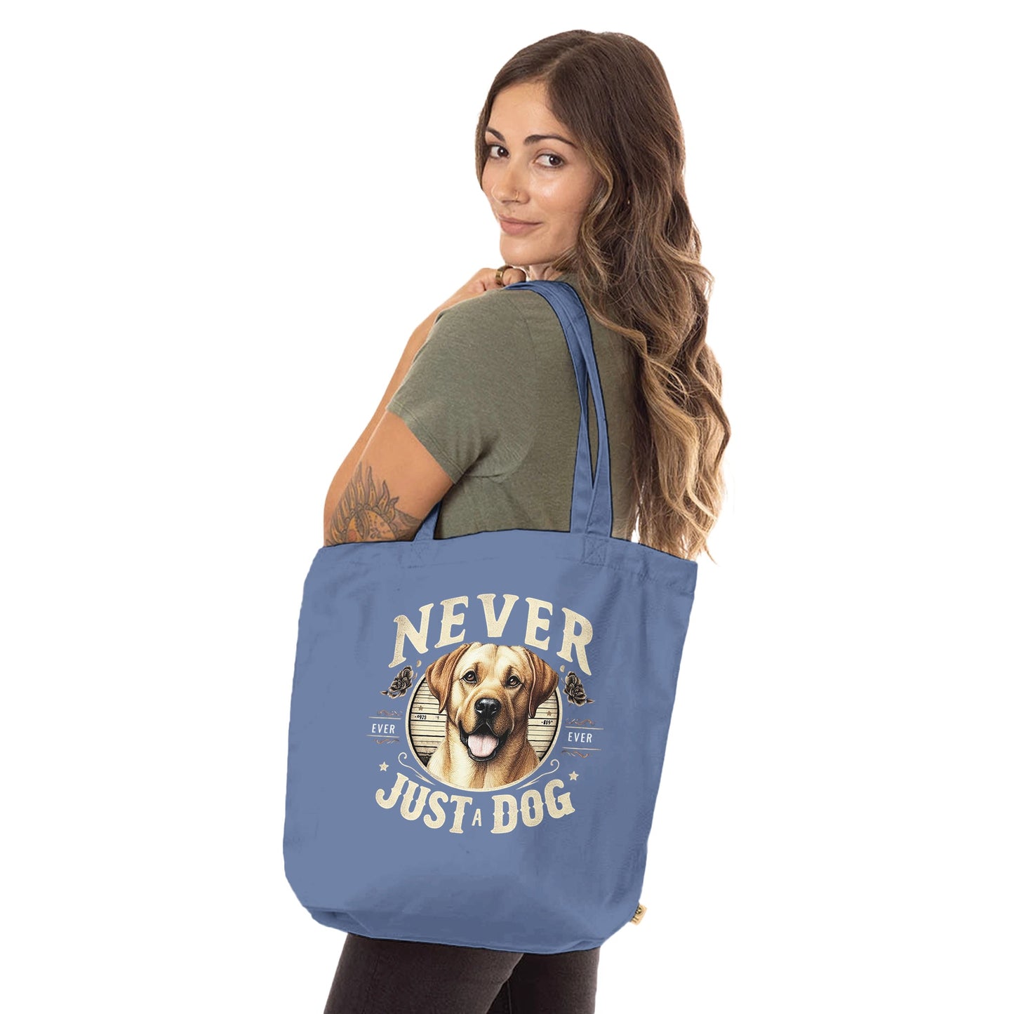 bdb6ddc6-f192-4de9-ac4e-8ef10129aa25