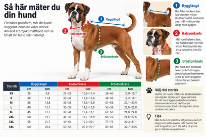 Boxer Christmas Hoodie - 'Santa? What Santa?' Festive Dog Jacket. Personalize Your Pup. Pick the Boxer illustration that looks most like your four-legged best friend!