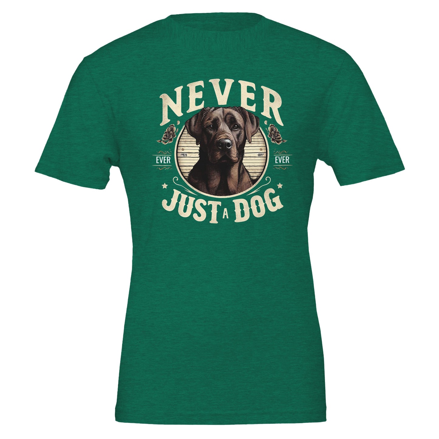 c282242a-8dd8-4139-ba62-68deafd59ccf