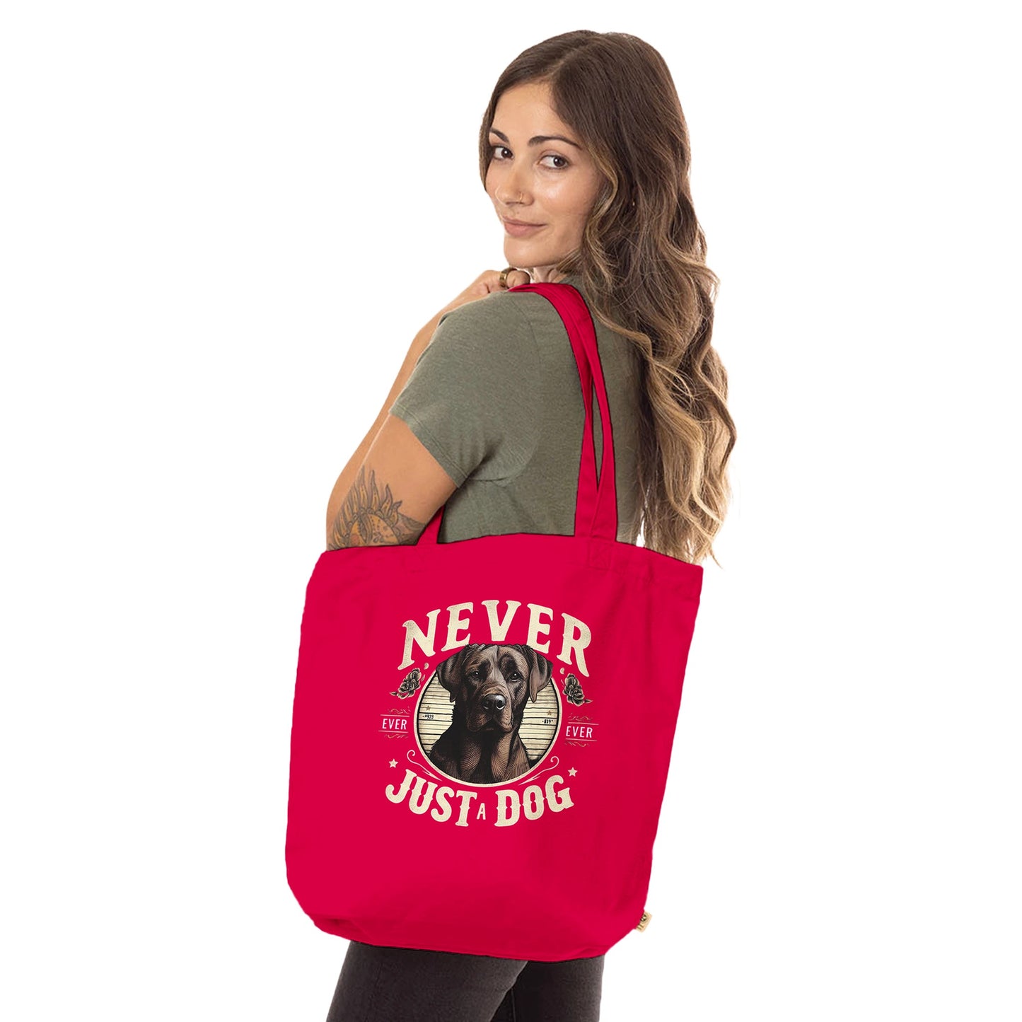 c358d23c-cc68-4863-b647-9c7ca65ed7f2