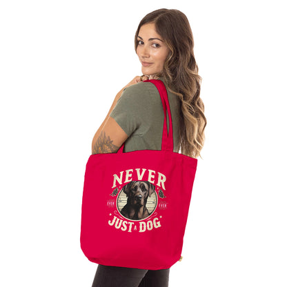 c358d23c-cc68-4863-b647-9c7ca65ed7f2