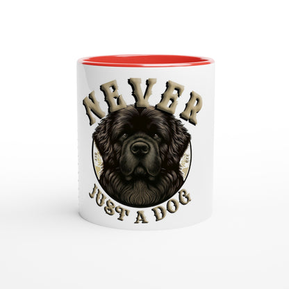 c3b1a919-1239-46df-89ba-d586f33794fa