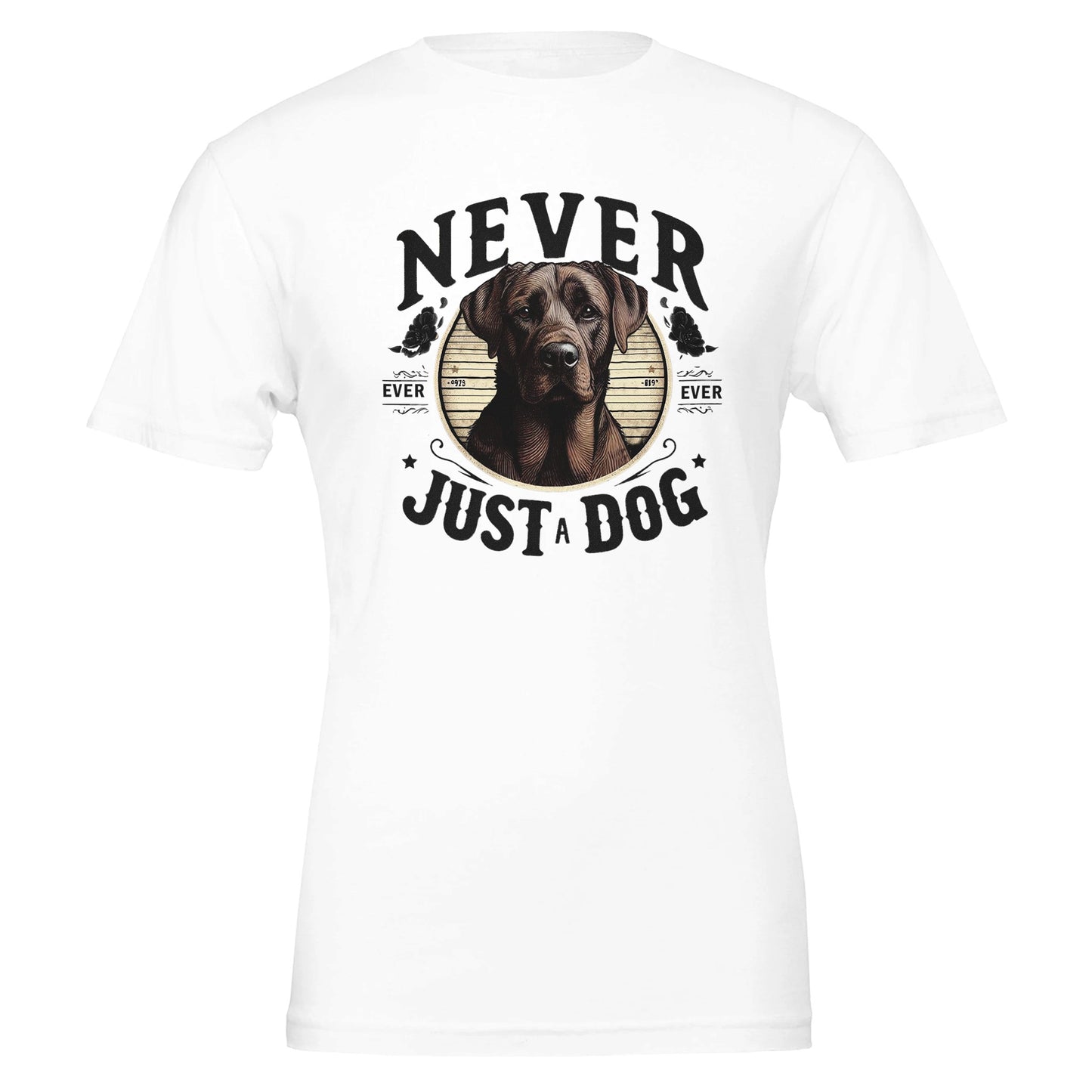 c469578f-6be0-4845-b31d-ebe3ef2e14a6