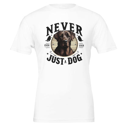 c469578f-6be0-4845-b31d-ebe3ef2e14a6