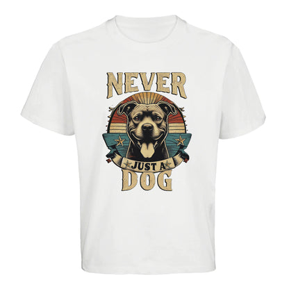 c47423c7-354d-4600-a181-c3c5556ae99e