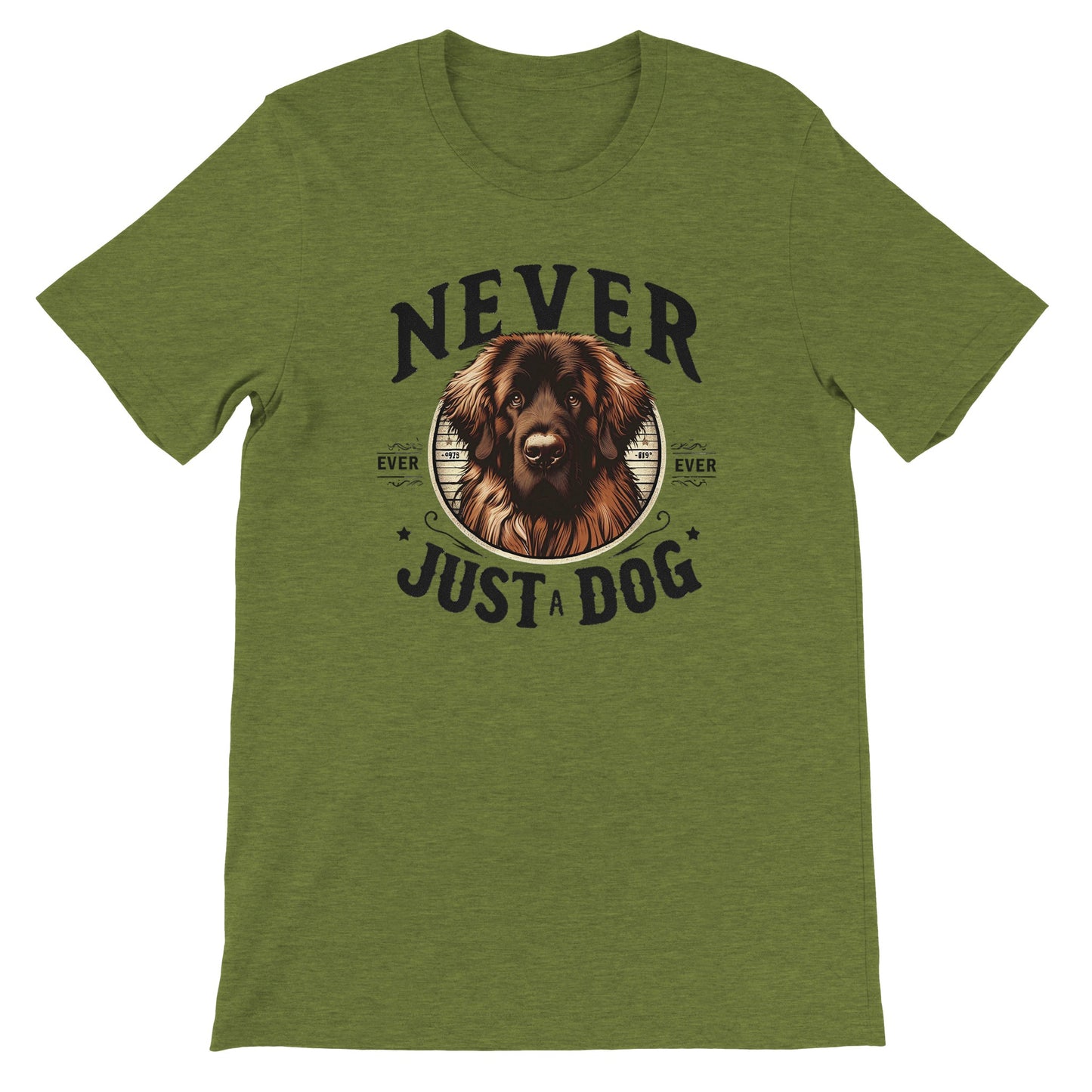 c721abbd-48bf-4a95-bb49-0525a758bb13