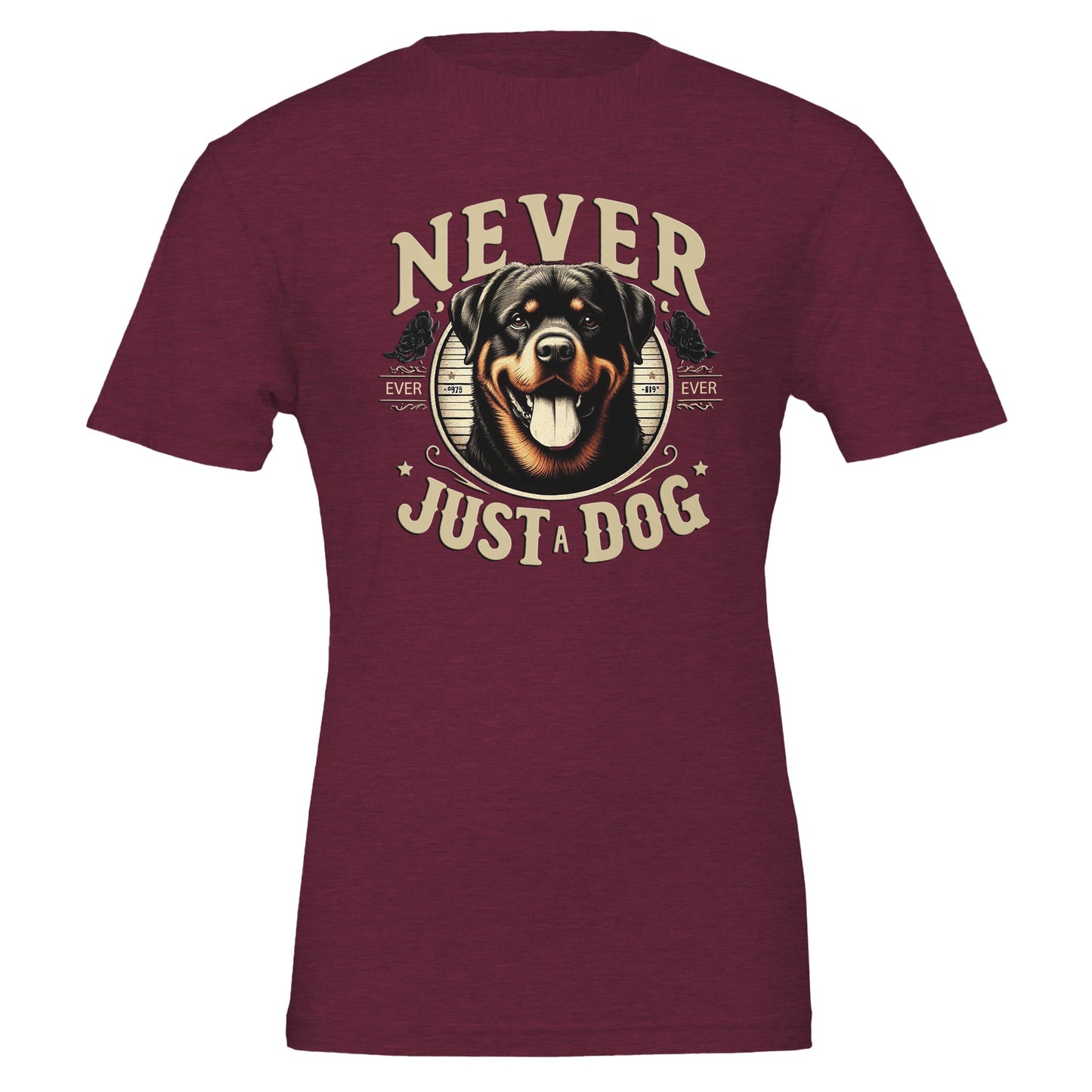 c93ea59a-b1bf-42ac-89a7-8b7bb34ed205