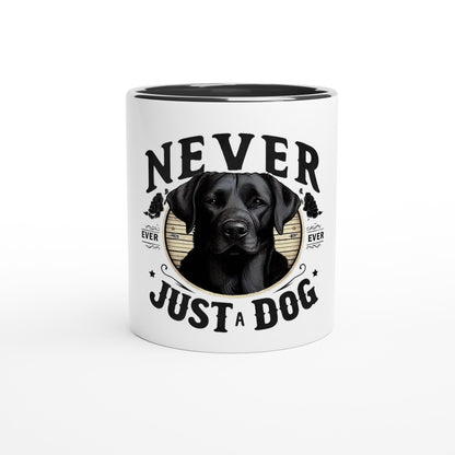 ce5f7b1e-3f76-4e40-9d2e-1793cc8765f0