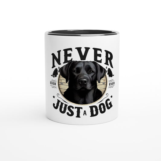 ce5f7b1e-3f76-4e40-9d2e-1793cc8765f0