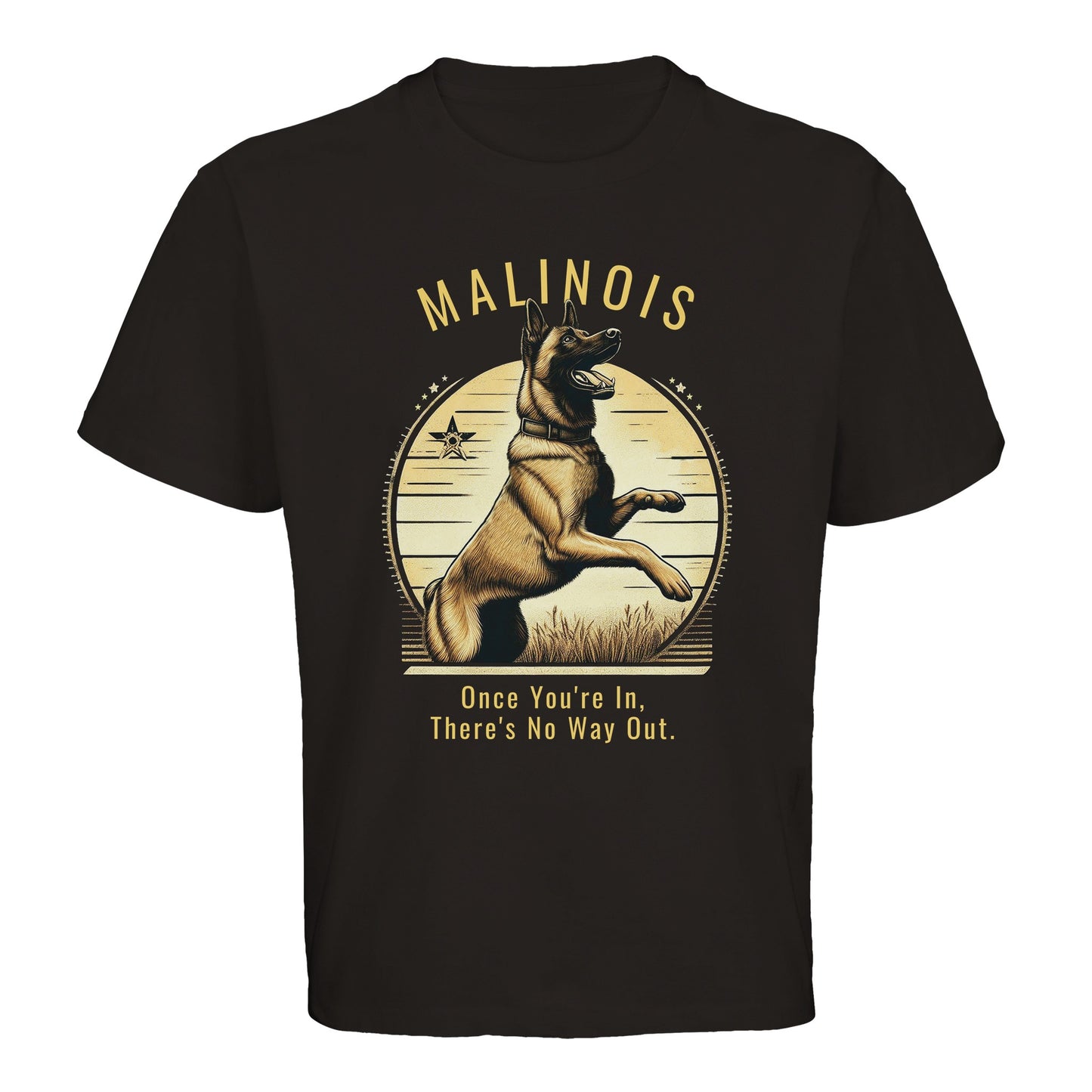 d150ccc5-d8cb-441c-8440-d0034471981f