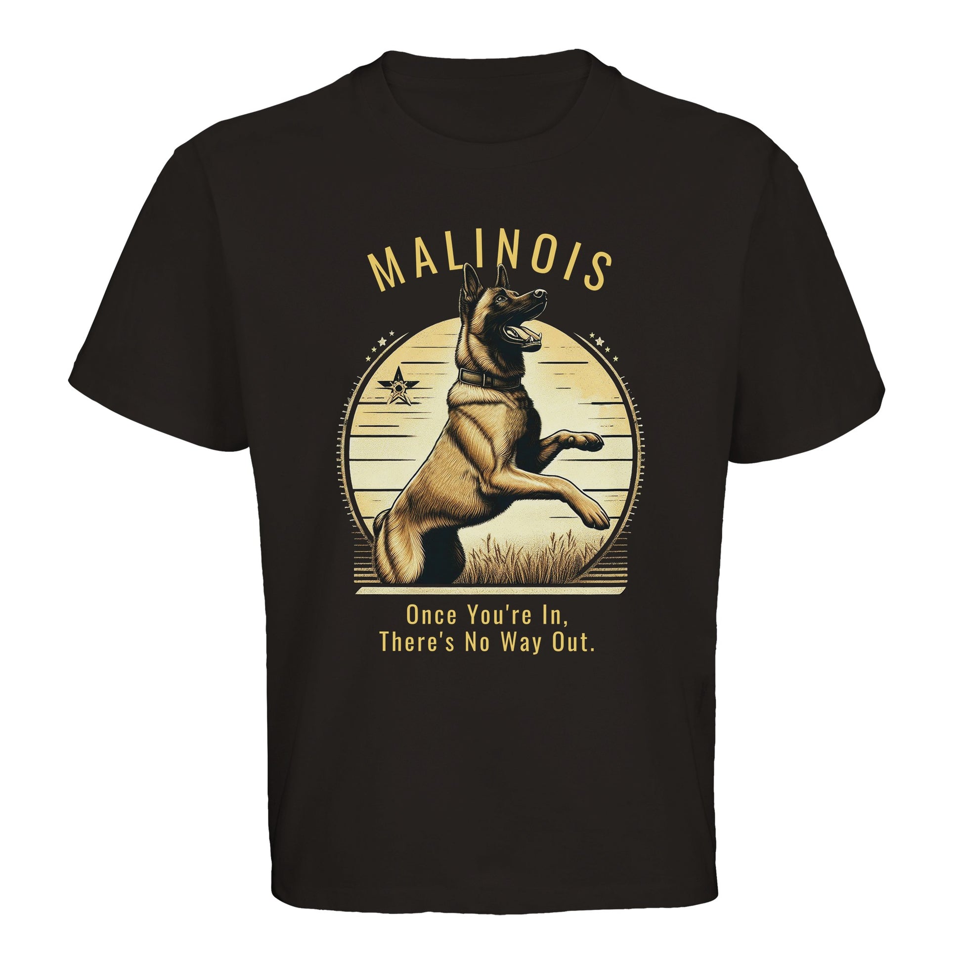 d150ccc5-d8cb-441c-8440-d0034471981f