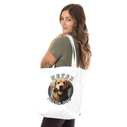 d4247bd8-565e-4917-b7ff-d34505821ccd