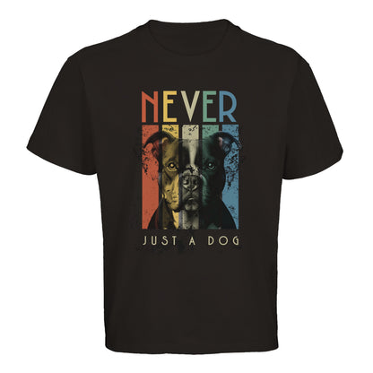 dae6ec2d-d25c-49d8-bcdc-44d0eaa7a80a