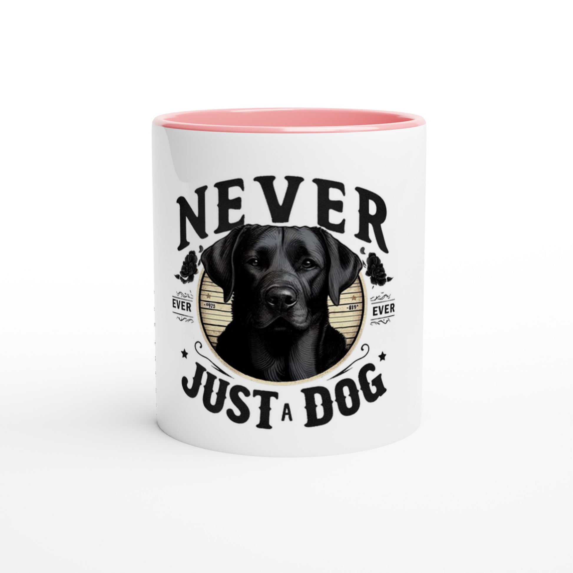 ddadffcf-136b-4ccf-bdda-45525129ed29