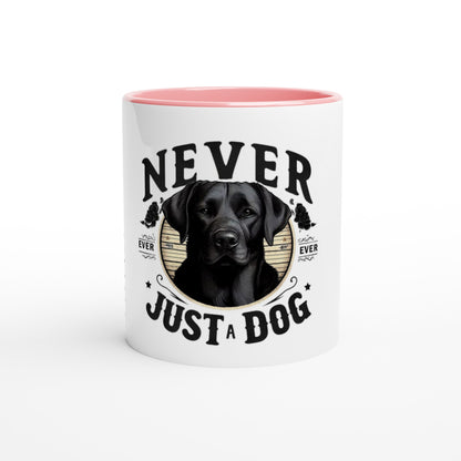 ddadffcf-136b-4ccf-bdda-45525129ed29