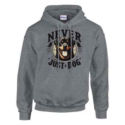 de74f777-932c-472d-985f-069c32105003