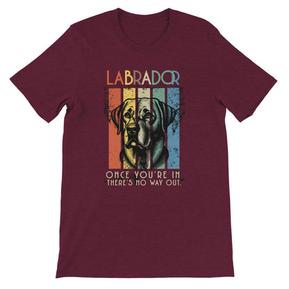 e0a91053-8c7d-4129-9a0f-e1633e0806b1