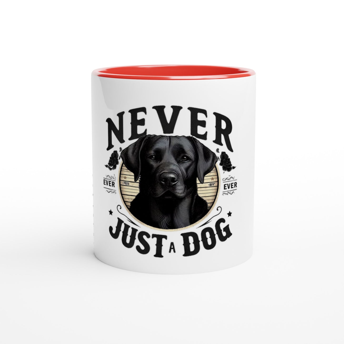 e0b58bd5-31f3-4e65-9e3a-c506576ad190