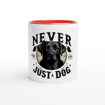 e0b58bd5-31f3-4e65-9e3a-c506576ad190