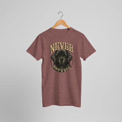 e0cb1faa-7767-44ff-a846-02d3f4844466