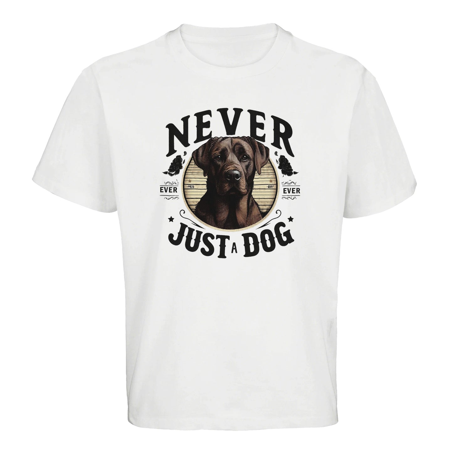 e194d704-e0dc-41cc-bd35-ba8eb0992b13