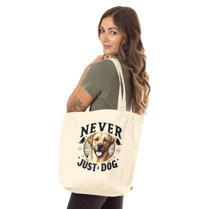 e1ddb0e9-89b3-44b1-a23e-79e0278c12cc