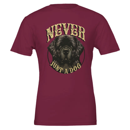 e267a1db-6938-447b-a68d-04af6cfcc250