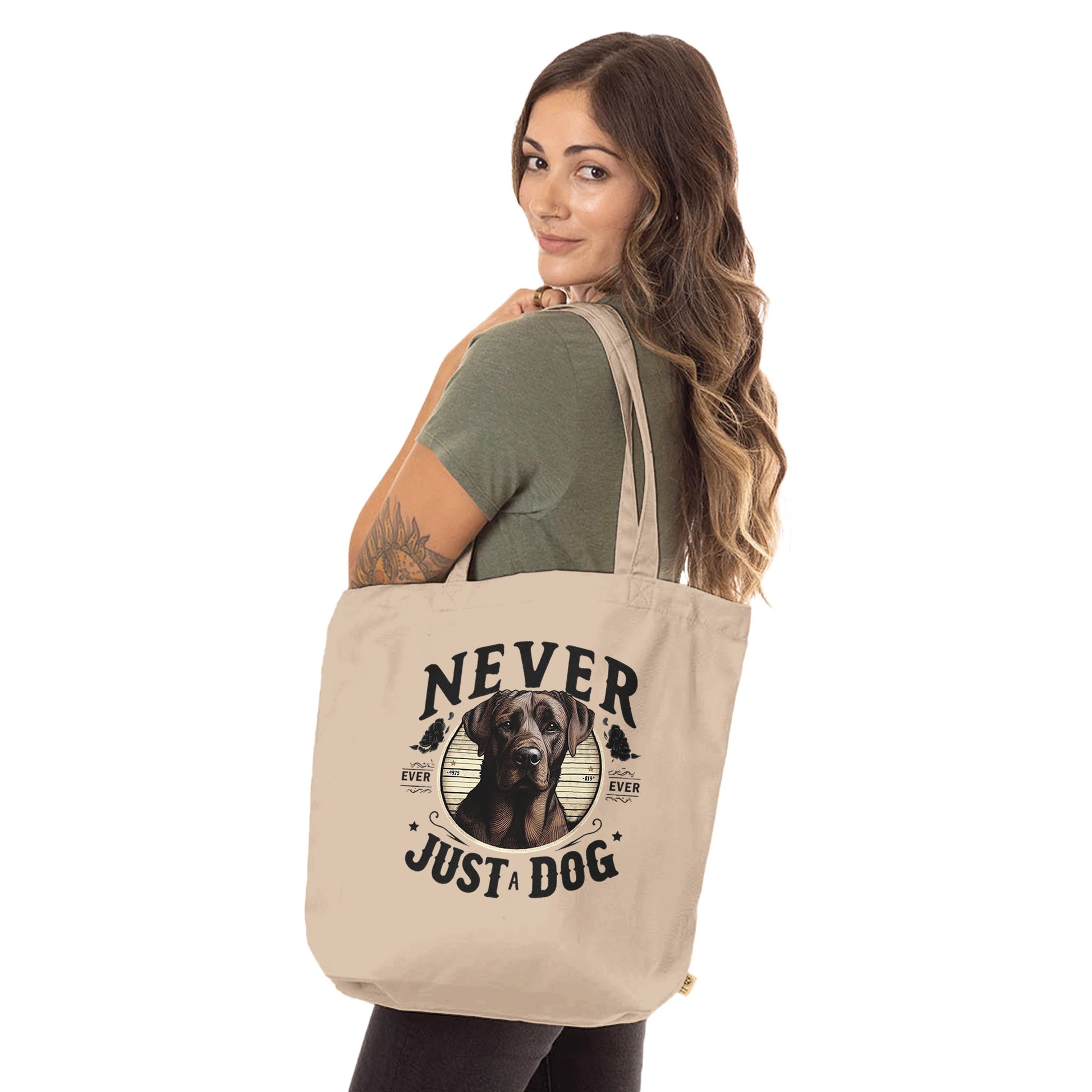 e455419b-6b60-4421-9c8f-54fc04053c64