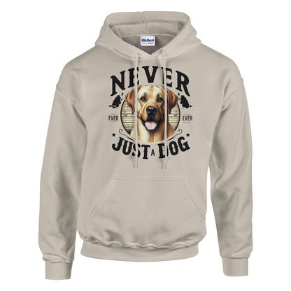 e54f6f65-3238-49f6-bf5c-d26c37e2f93a