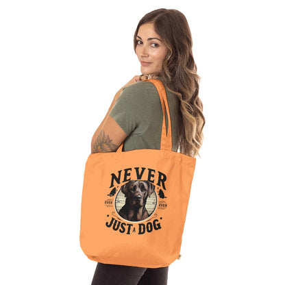 e6746d85-e655-4ad6-9195-75867c818bc6