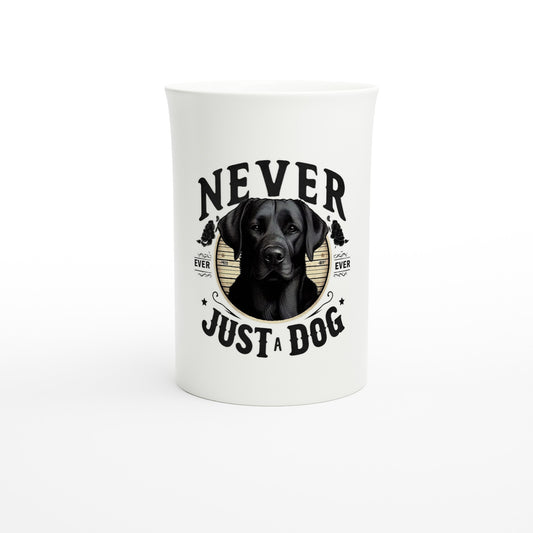 e91132a7-3223-412c-84e5-1144205b437a