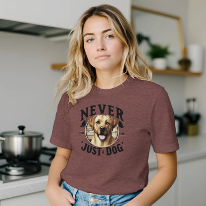 e9bc2def-224a-4759-8563-df8d73c48eaf