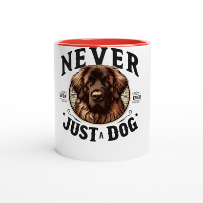 ec12ee5e-b71e-4bc6-9697-ece462de5ff7