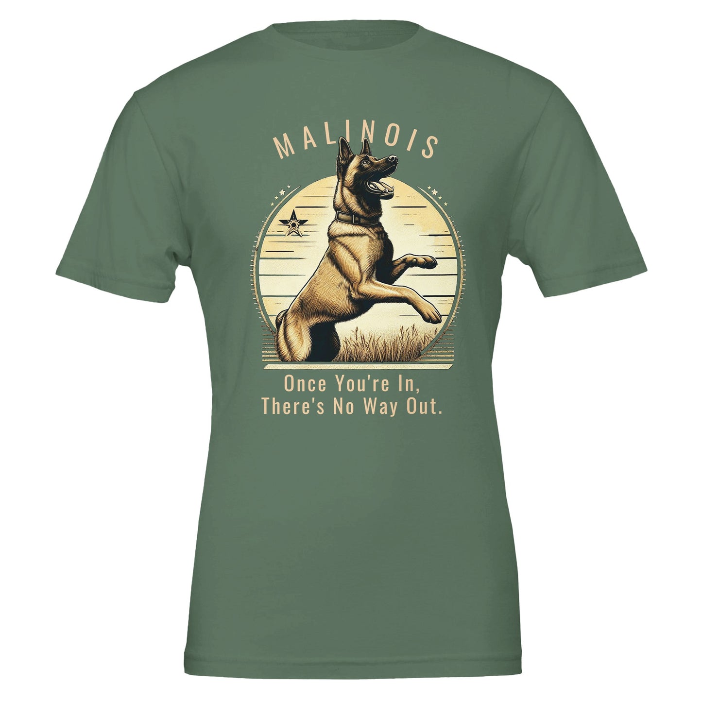 ef88ec04-ca0d-4d2a-ae68-3edc2464b94f