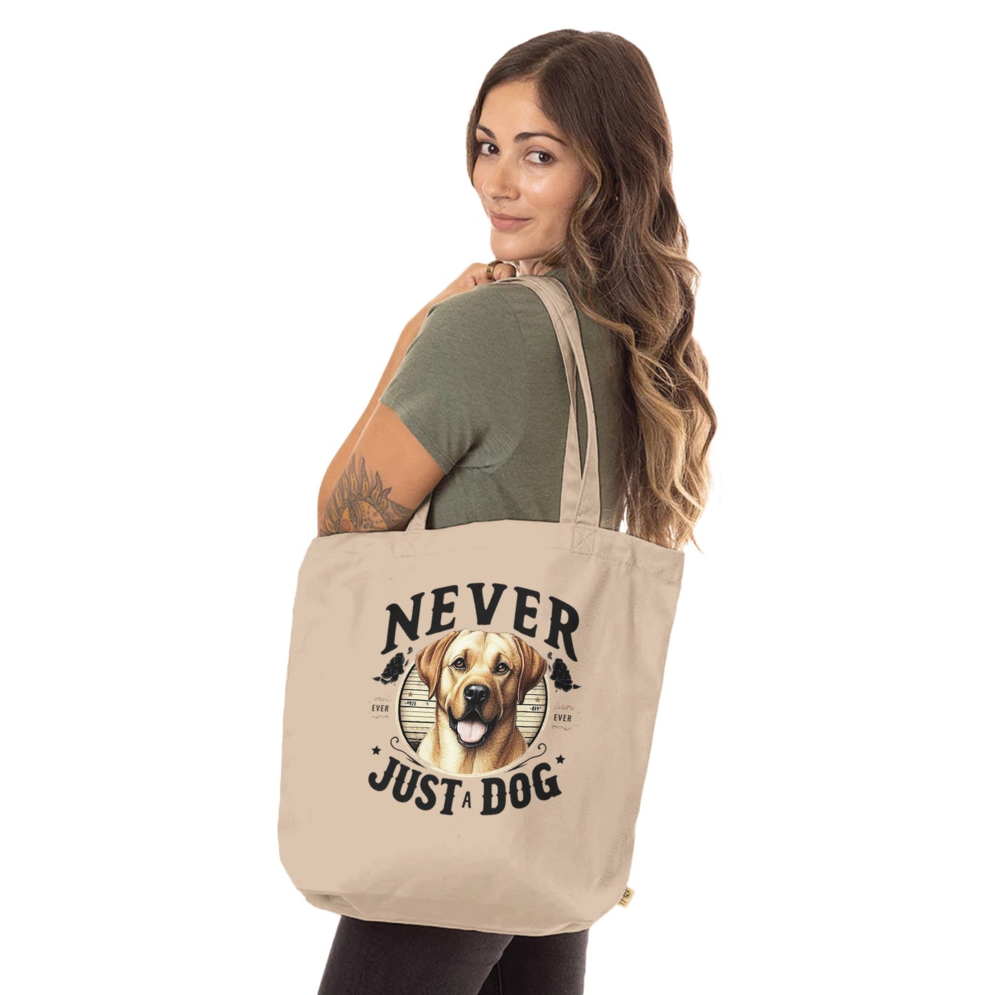 fe25b2be-071a-4ac3-a889-64e67d001ca6