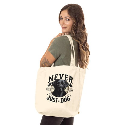 fe6e02bd-28e2-44bd-90e4-ea0502bc7b27