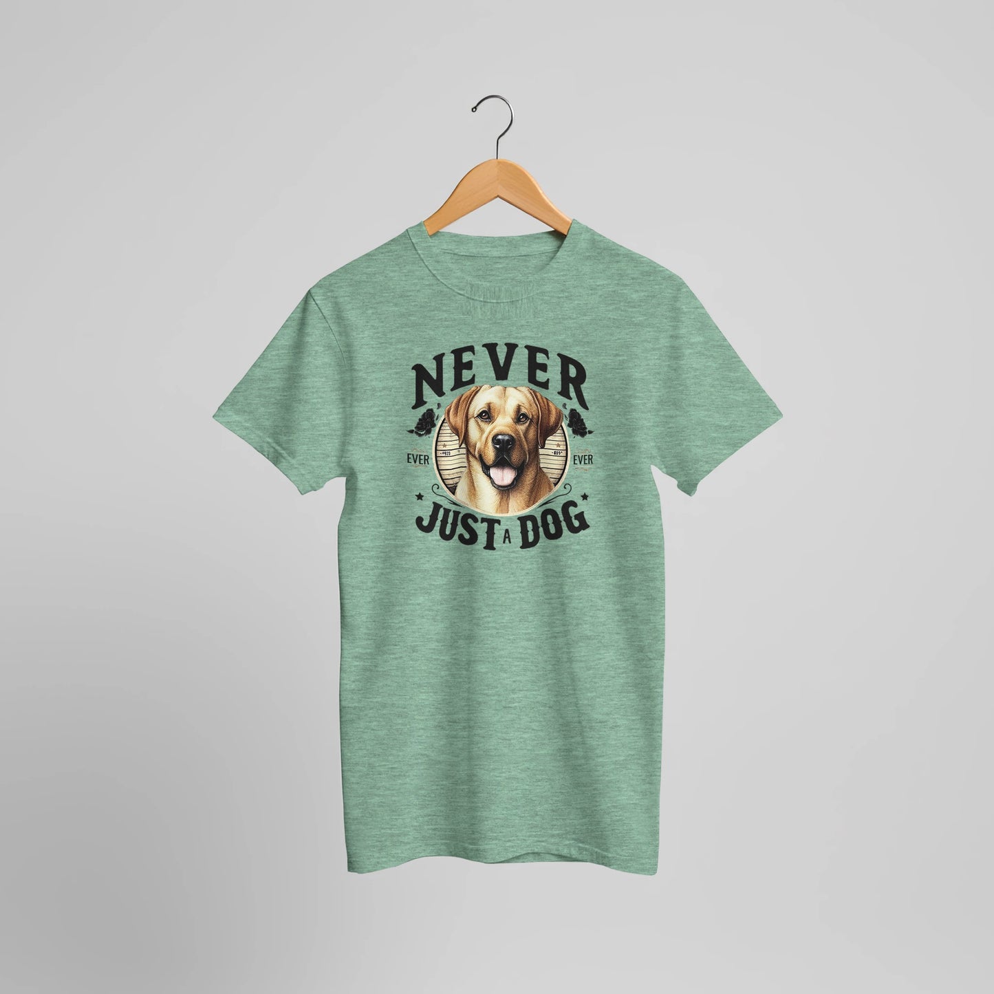 fef146a7-d642-4018-8ab0-1b8ec3f604c2