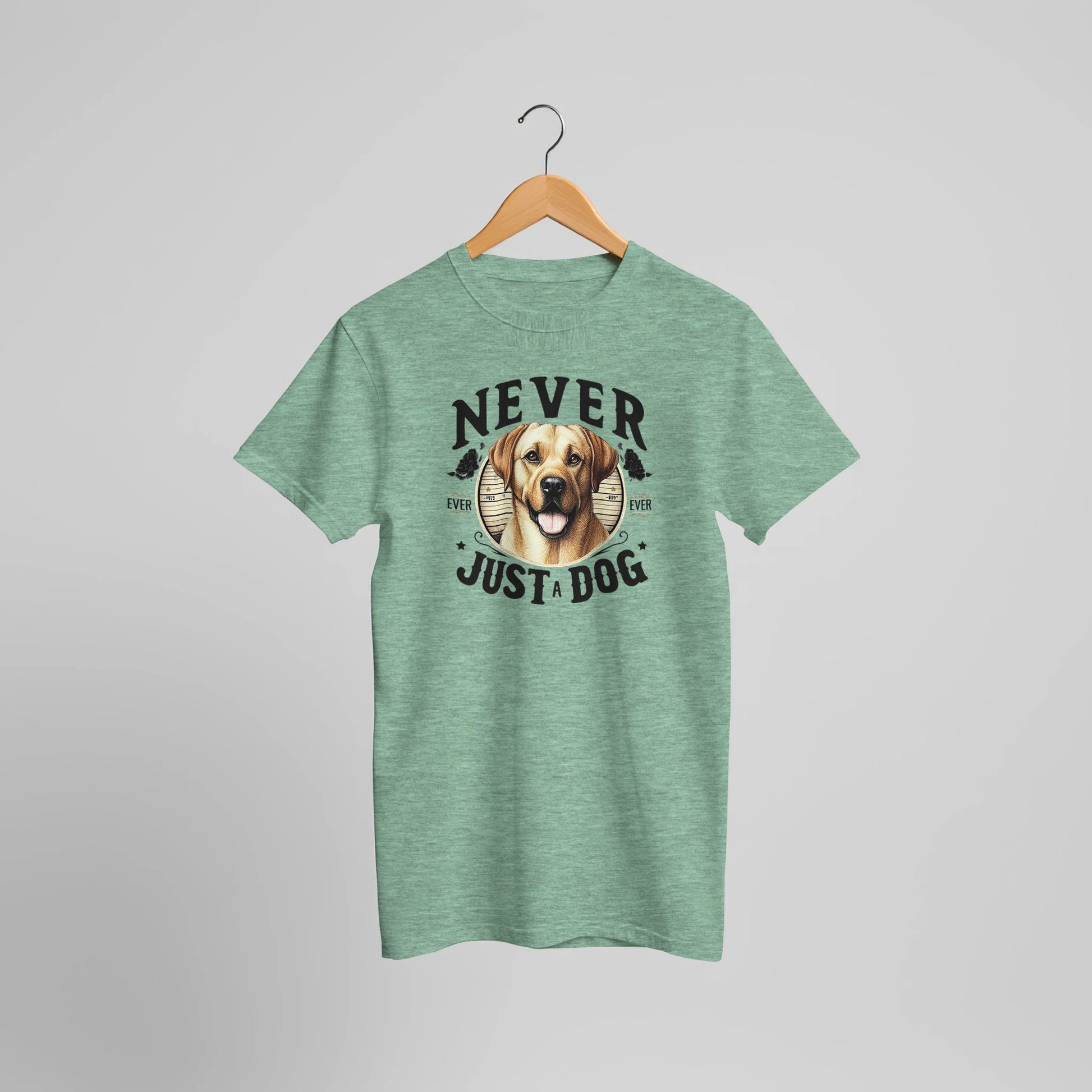 fef146a7-d642-4018-8ab0-1b8ec3f604c2